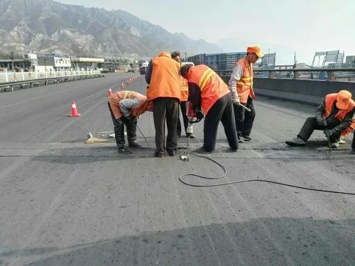 咸宁道路桥梁病害治理